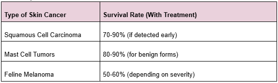 types of cats skin cancer